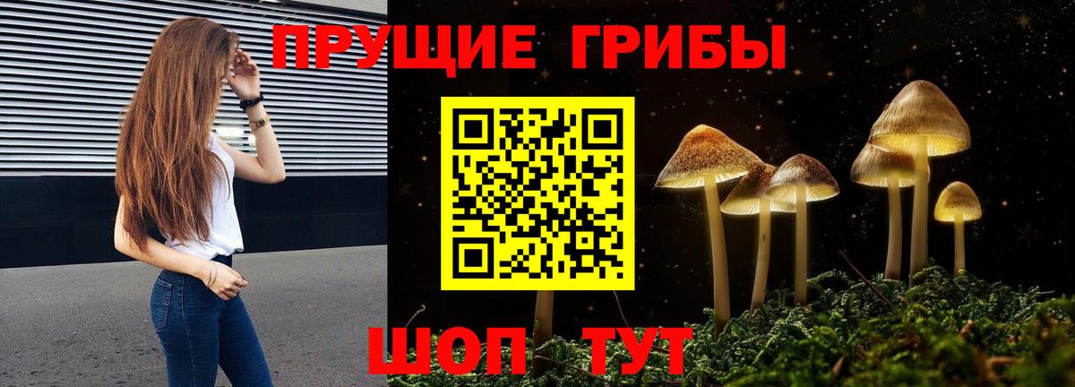 Псилоцибиновые грибы MAGIC MUSHROOMS Горно-Алтайск