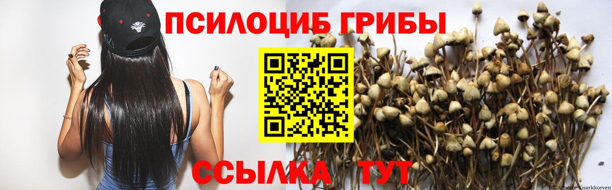 Горно-Алтайск  Галлюциногенные грибы прущие грибы  Вход с VPN 